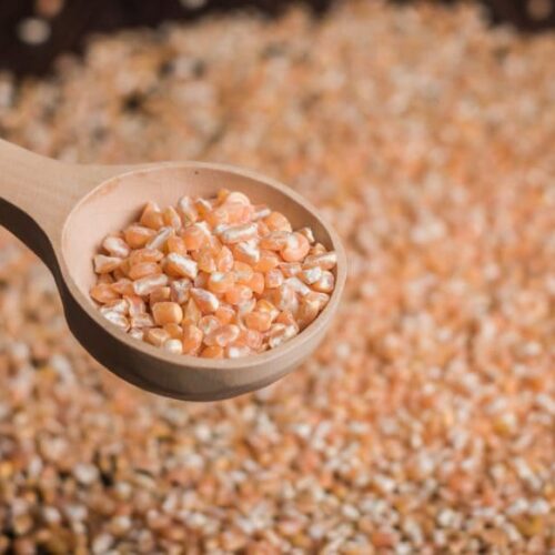 Maiz-Colorado-Partido-Pelado-01-800x582 (1) Maíz pisado colorado