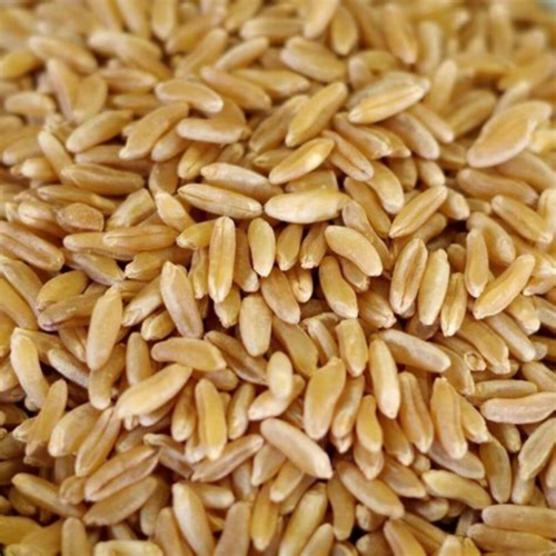 arroz-integral-blue-bonnet Arroz integral Blue Bonnet