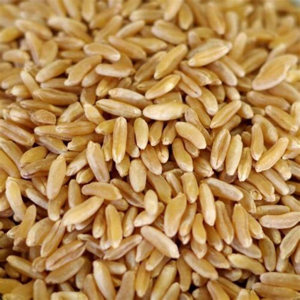 Arroz integral Blue Bonnet