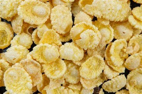 copo-de-maiz Copos de maíz SIN AZÚCAR x2 kg Lasfor