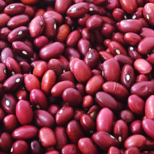 porotos-colorado Porotos colorados