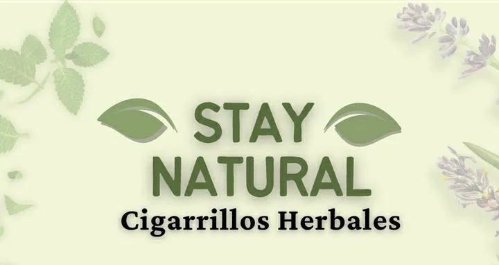 portada-stay-natural Cigarrillos herbales x10 u Stay Natural