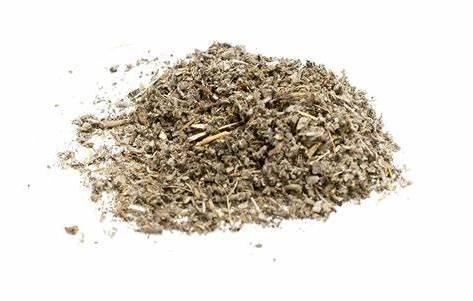 salvia Salvia condimento