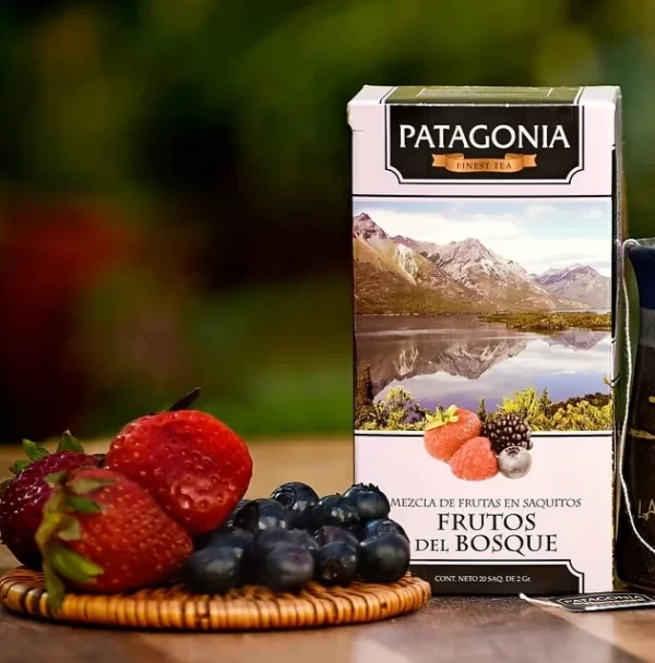 te-patagonia Té x20 saq Patagonia