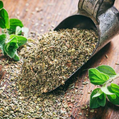 tipos-de-oregano Orégano